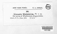 Image Associated With the Occurence